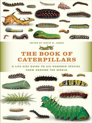 cover image of The Book of Caterpillars